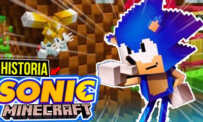 sonic minecraft dlc